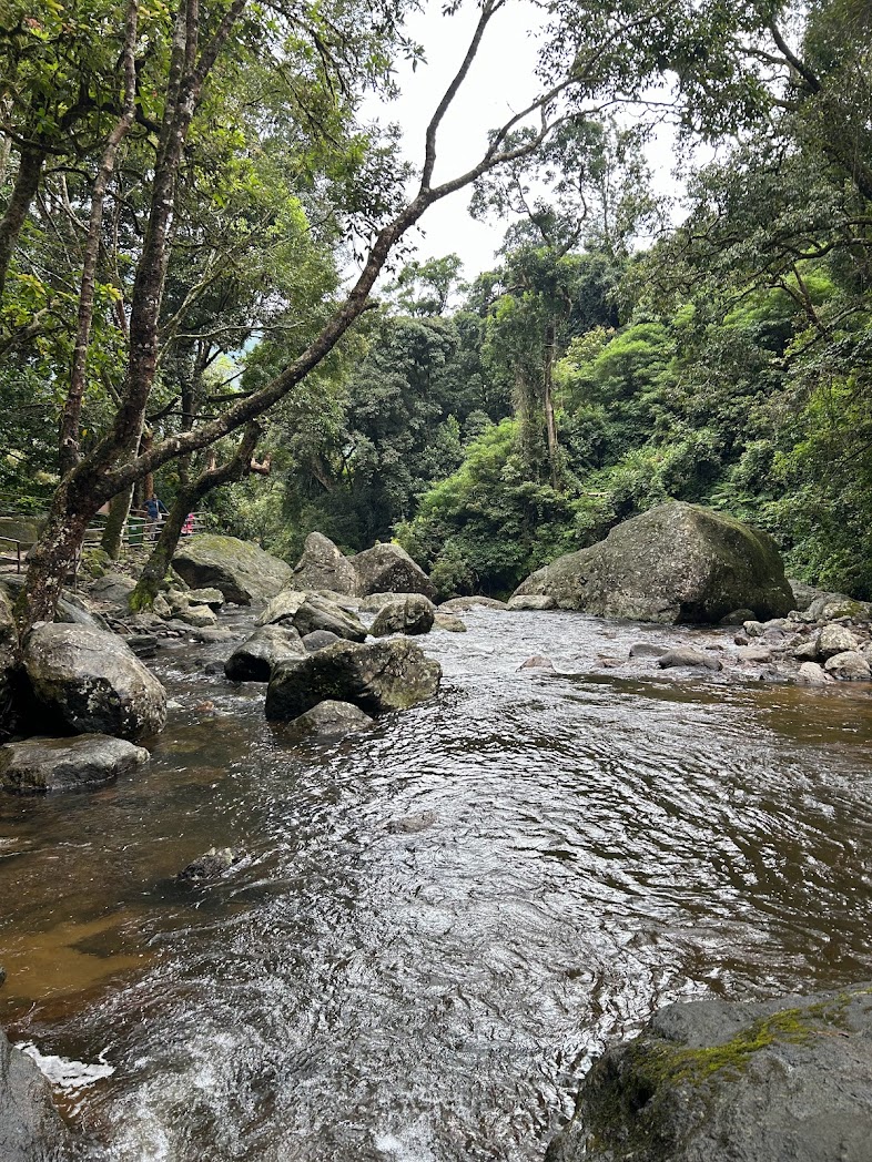 bathing water fall